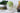 Matcha Dalgona - Full Leaf Tea Company