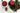 Gift Guide for Her - Full Leaf Tea Company