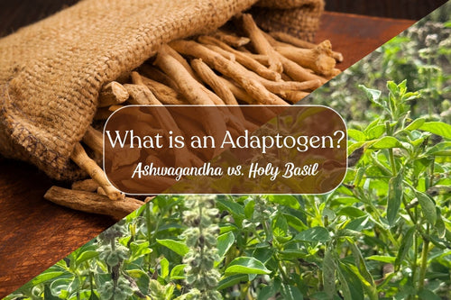 What is an Adaptogen?: Ashwagandha vs. Holy Basil - Full Leaf Tea Company