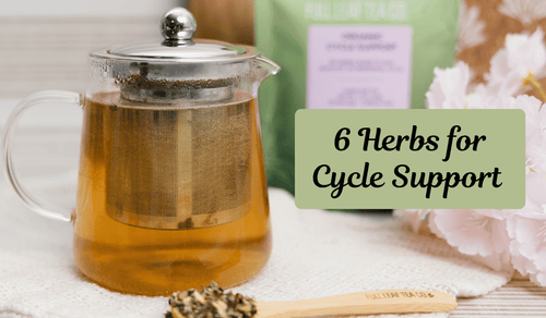 6 Herbs to Support your Menstrual Cycle Naturally - Full Leaf Tea Company