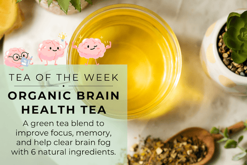 Herbs for Brain Health and  Focus | Organic Brain Health Tea - Full Leaf Tea Company