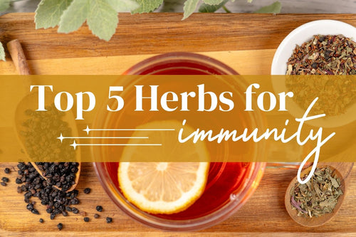 Top 5 herbs to boost immunity