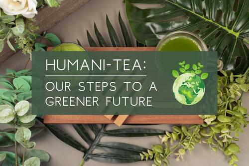 Humani-Tea: Our Steps to a Greener Future 🌎 🍃 - Full Leaf Tea Company