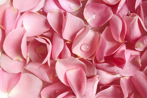 Enjoy Valentine's Day to the Fullest - Full Leaf Tea Company
