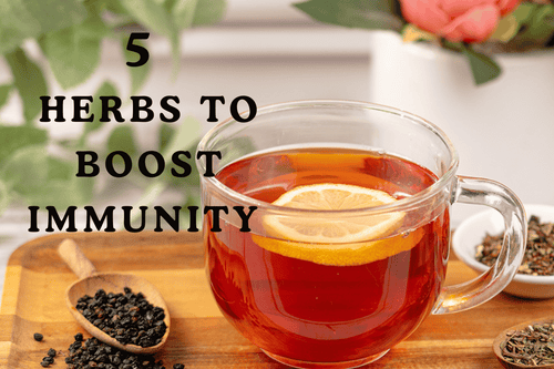 Herbs to Help Boost Immunity - Guide to Supporting Immune Function - Full Leaf Tea Company