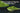 What grade of matcha should I buy? - Full Leaf Tea Company