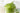 Homemade Organic Whipped Matcha Cream Recipe - Full Leaf Tea Company