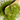 Close-up of vibrant green matcha powder on a wooden spoon with loose powder scattered on a light surface.