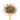 Wooden spoon of Organic Anise Seeds on a white background.