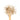 Wooden spoon of Ashwagandha Root on a white background.