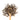 Wooden spoon of Organic Black Cohosh on a white background.