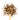 Wooden spoon of Organic Burdock Root on a white background.