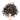 Wooden spoon of Organic Ceylon on a white background.