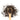Wooden spoon of Organic Darjeeling on a white background.
