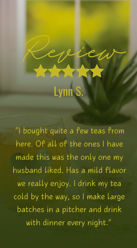 Detox Wellness Review