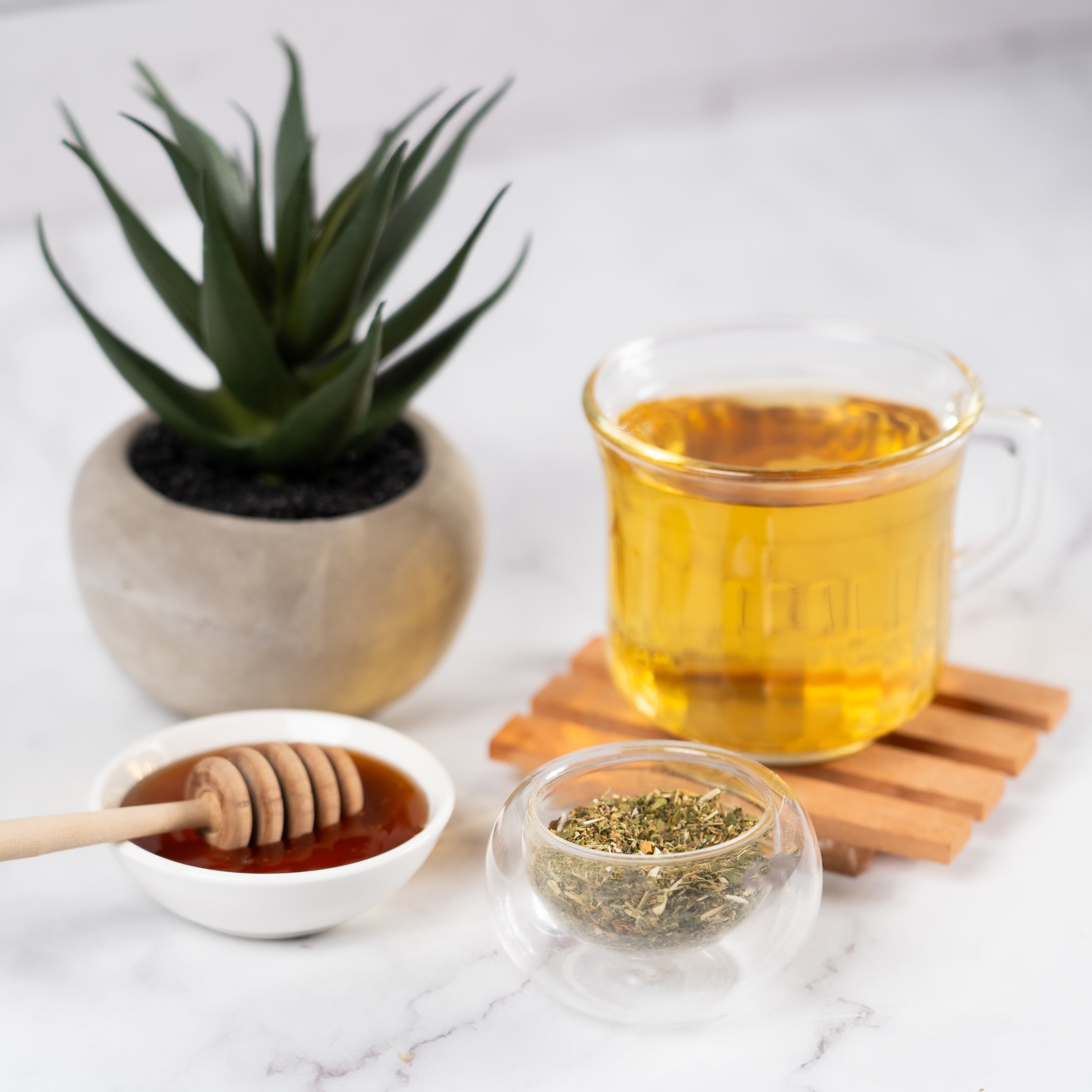 Cup of Organic Feverfew tea with loose herbs, honey dipper in a small bowl, and a potted plant on a marble surface.