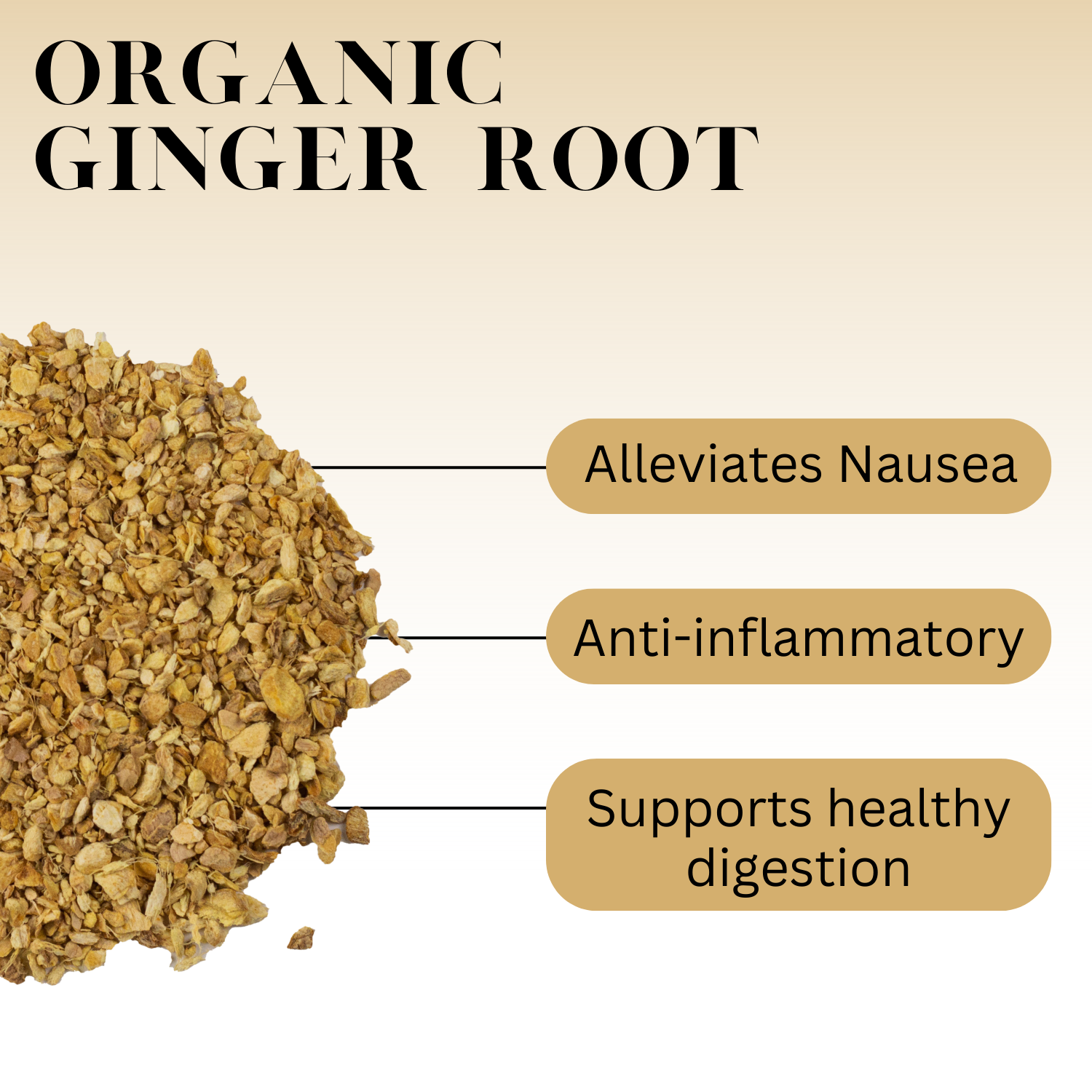 Infographic titled “Organic Ginger Root” showing chopped dried ginger pieces on the left and text boxes on the right listing benefits: alleviates nausea, anti-inflammatory, and supports healthy digestion.