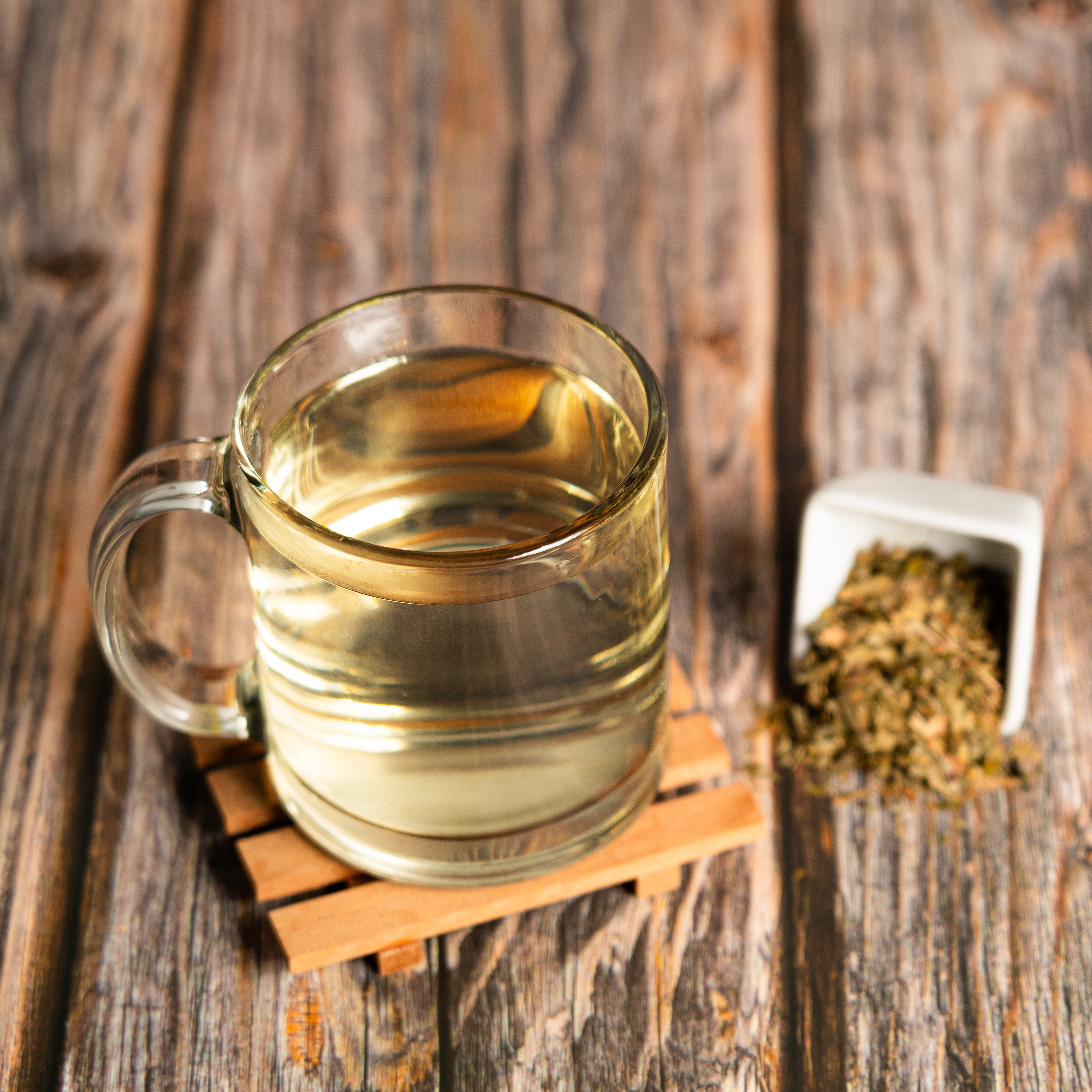 A clear glass mug of ginkgo biloba tea on a small wooden coaster, placed on a rustic wooden surface beside a white ceramic container spilling dried ginkgo leaves.