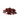 Dried hibiscus flowers on a white background