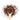 Wooden spoon of Organic Honeybush on a white background.