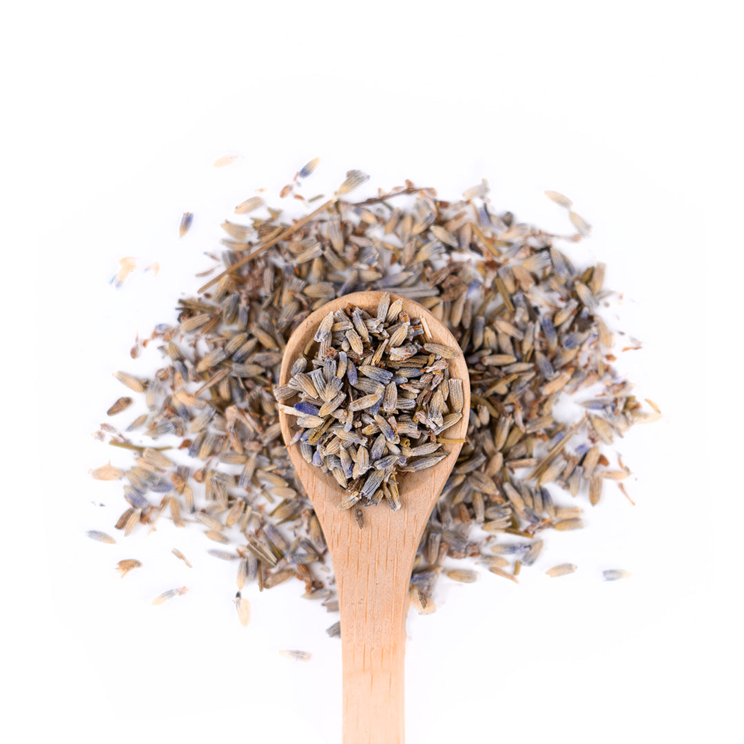 Wooden spoon of Organic Lavender on a white background.