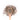 Wooden spoon of Organic Lavender on a white background.