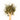 Wooden spoon of Organic Lemon Myrtle loose leaf tea on a white background.
