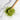 A wooden spoon engraved with “Full Leaf Tea Co.” resting on a pile of vibrant green matcha powder, with loose powder scattered across a white marble surface.