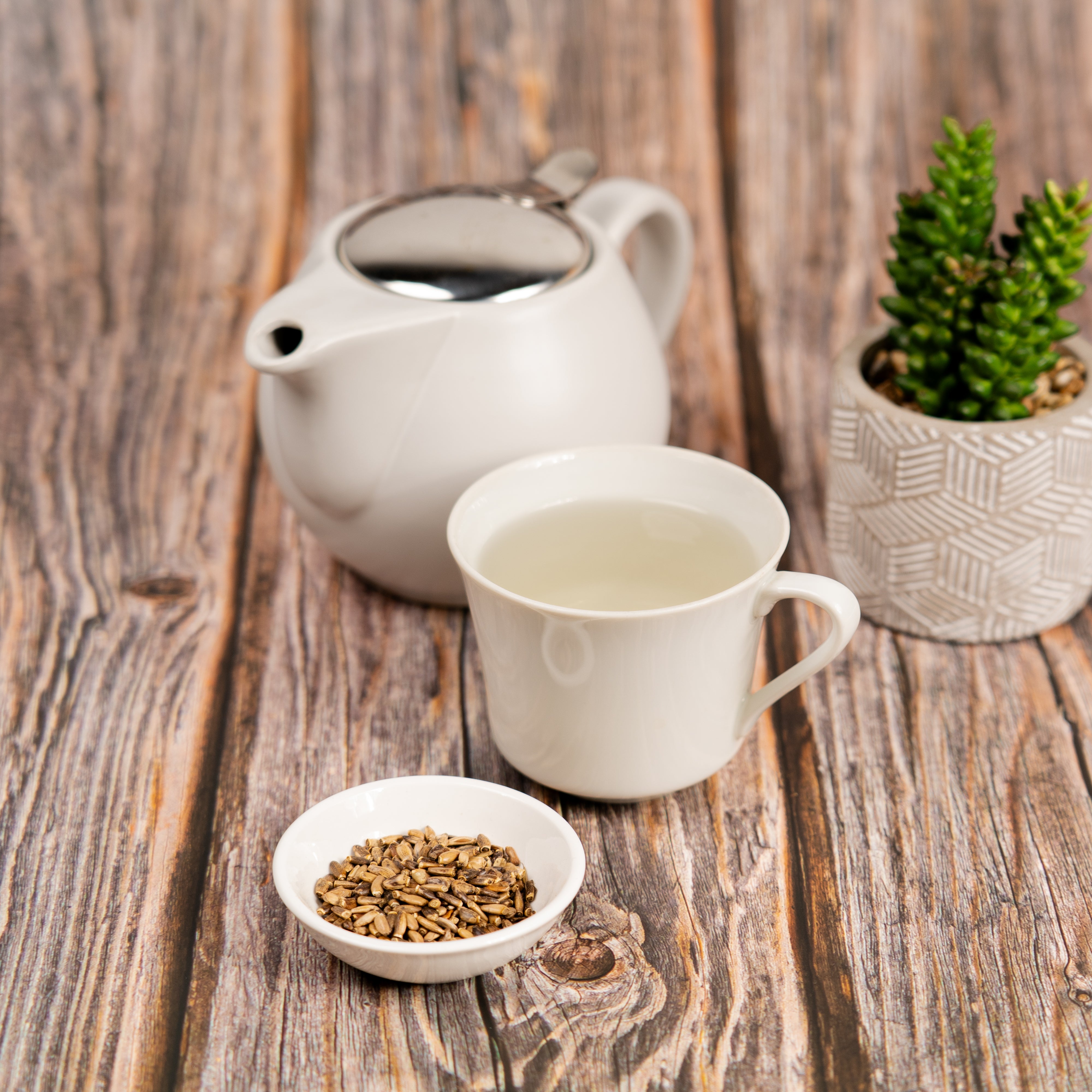 Cup of freshly brewed milk thistle tea with a small bowl of milk thistle seeds beside a white teapot and potted plant on a rustic wooden surface.