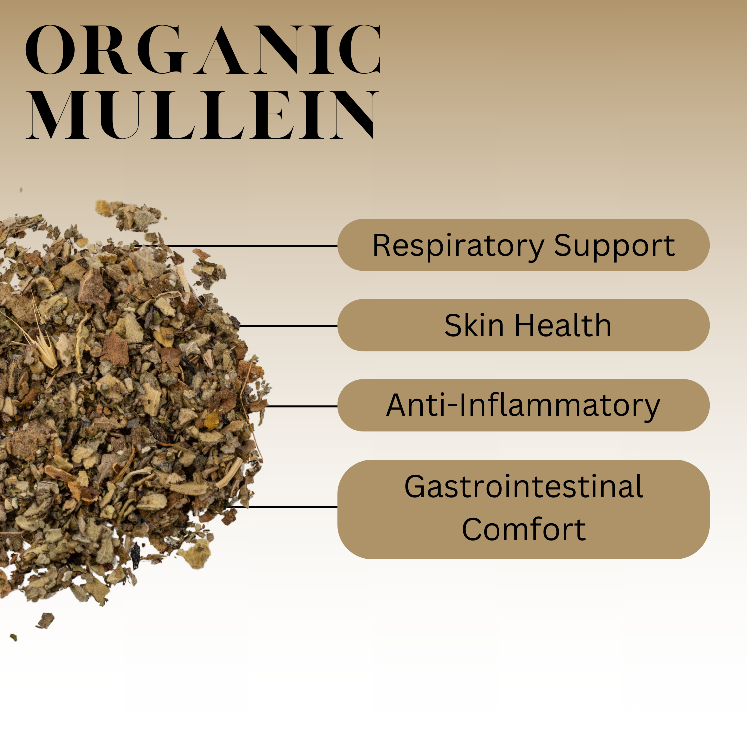 A graphic for Organci Mullein that reads: Respiratory Support, Skin Health, Anti-Inflammatory, Gastrointestinal Comfort. 
