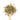 Wooden spoon of Organic Passion Flower on a white background.