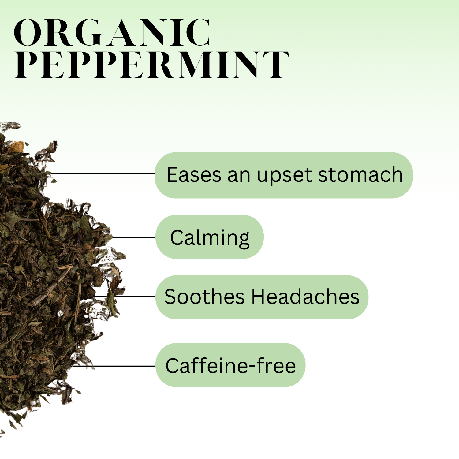 A graphic for Organic Peppermint, text reads: Eases an upset stomach, Calming, Soothes Headaches, Caffeine-free