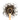 Wooden spoon of Organic Pu-Ehr on a white background.