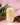 Glass of creamy beverage with a straw on a pink marble surface with green leaves and a small bowl.