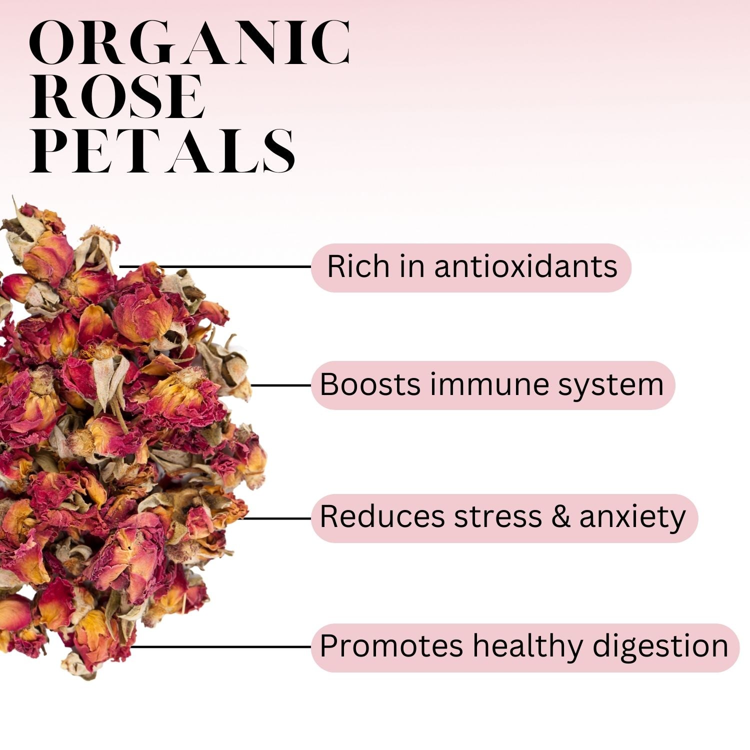 A graphic showing Organic Rose petals with these words: Rich in antioxidants, Boosts immune system, Reduces stress & anxiety, Promotes healthy digestion.