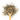 Wooden spoon of Organic Sage on a white background.