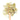 Wooden spoon of Organic Senna Leaf on a white background.