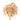 Wooden spoon of Organic Shatavari on a white background.