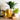 Glass of tea on a wooden table with a teapot, plants, and a small bowl of tea leaves.