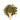 Wooden spoon of Organic Wheatgrass on a white background.