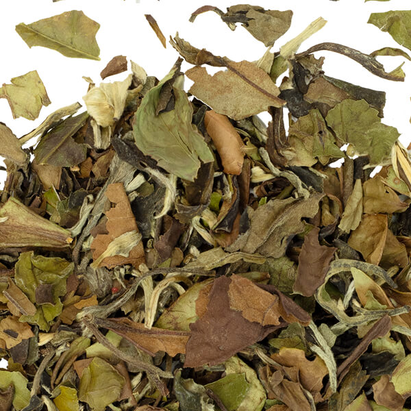 Close up view of white tea leaves on a white surface. 