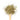 Wooden spoon of Organic Yerba Mate on a white background.