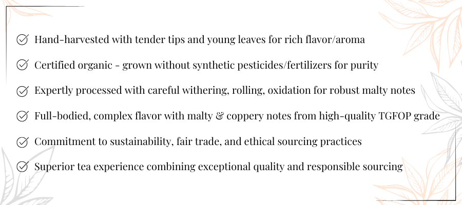 A graphic listing some facts regarding Black Tea.