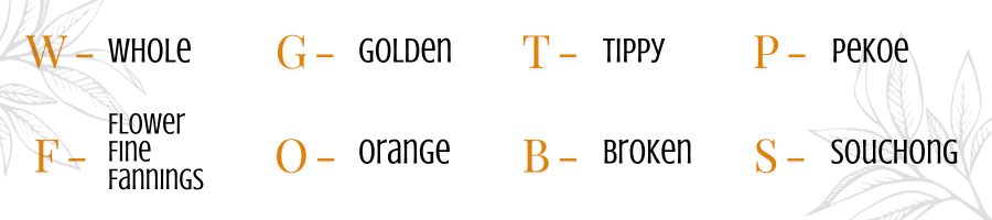 Tea grading abbreviations chart showing meanings of Pekoe grade letters: W for Whole, F for Flower/Fine/Fannings, G for Golden, T for Tippy, O for Orange, P for Pekoe, B for Broken, and S for Souchong, with leaf illustrations in the background.