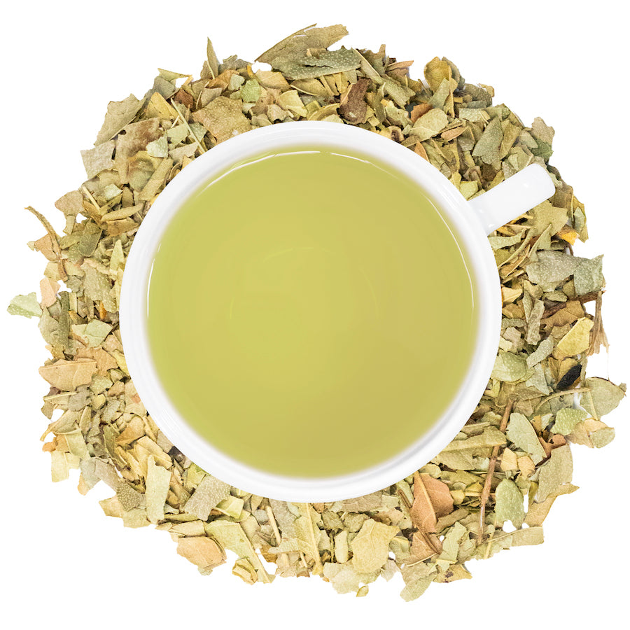A white mug filled with Boldo tea surrounded by boldo leaves. 