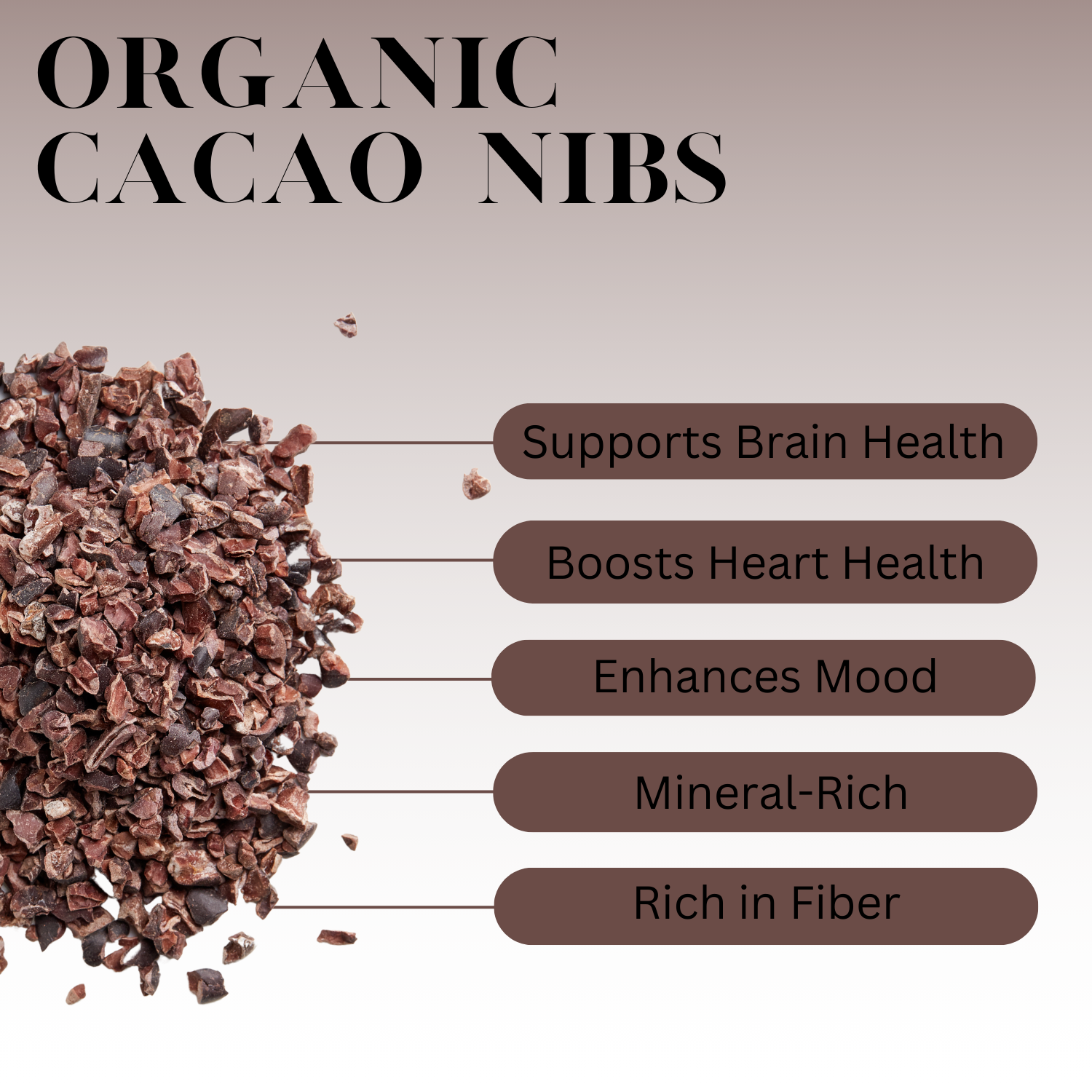 Infographic titled ‘Organic Cacao Nibs’ showing a pile of cacao nibs on the left with labeled benefits including supports brain health, boosts heart health, enhances mood, mineral-rich, and rich in fiber.