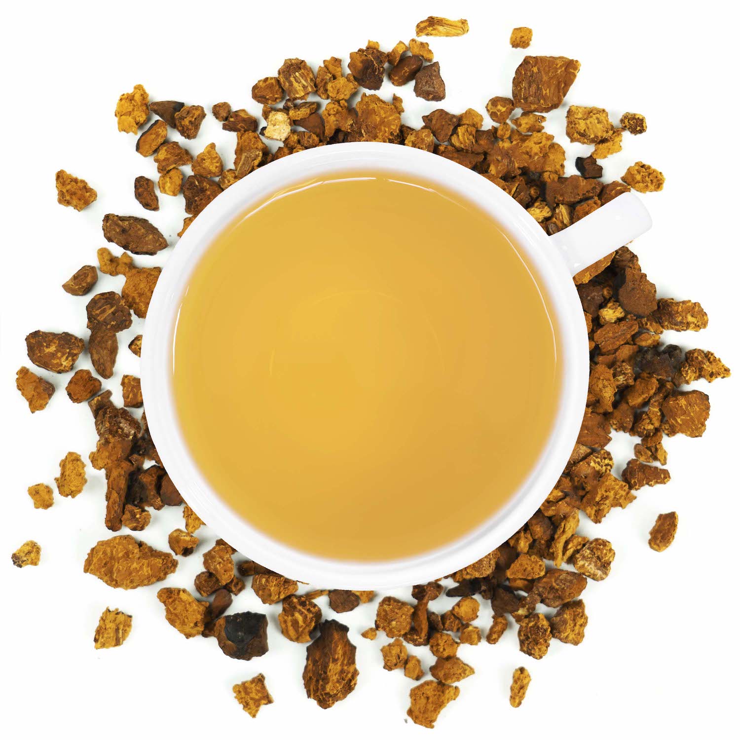 A white mug filled with chaga mushroom tea surrounded by chaga mushrooms
