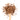 Organic Cinnamon on a wooden spoon.