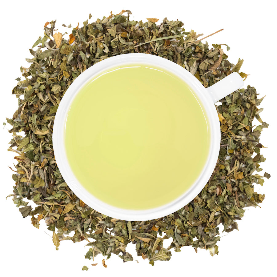 A white mug filled with damiana tea surrounded by damiana on a white surface. 