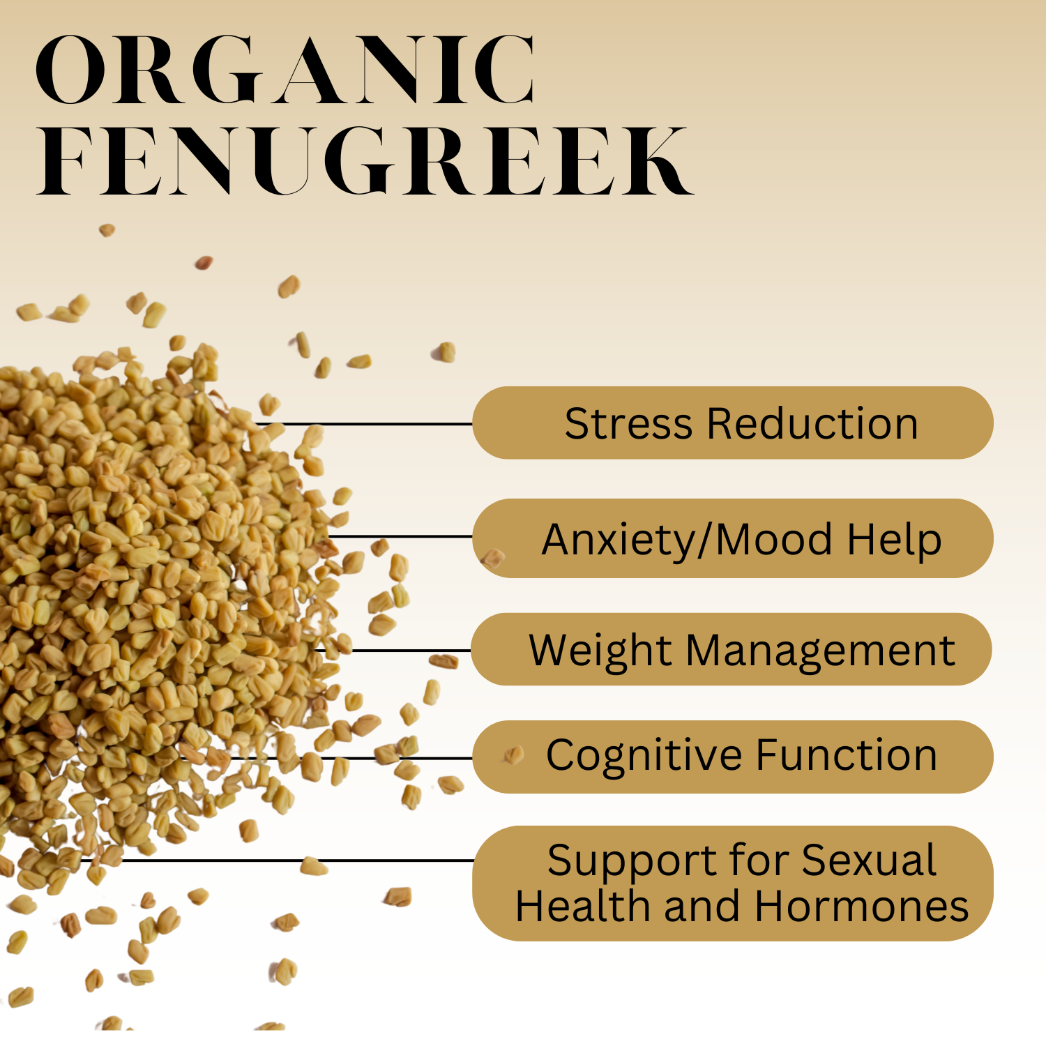 An Infographic description for Organic Fenugreek.